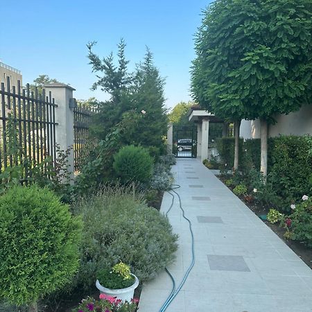 U-Dacha Apartman Napospart Kültér fotó